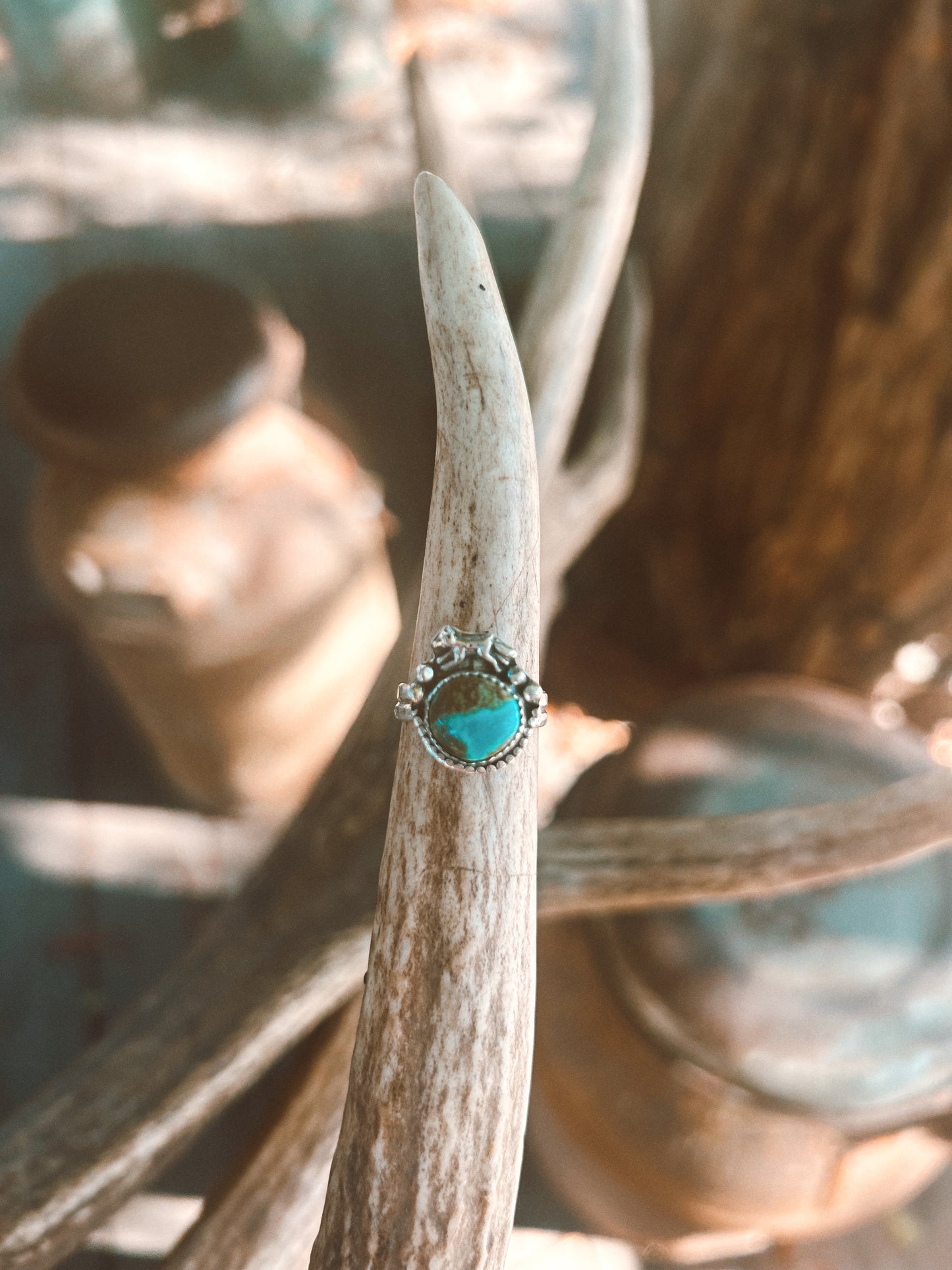 Campitos Wolf Turquoise ring size 6