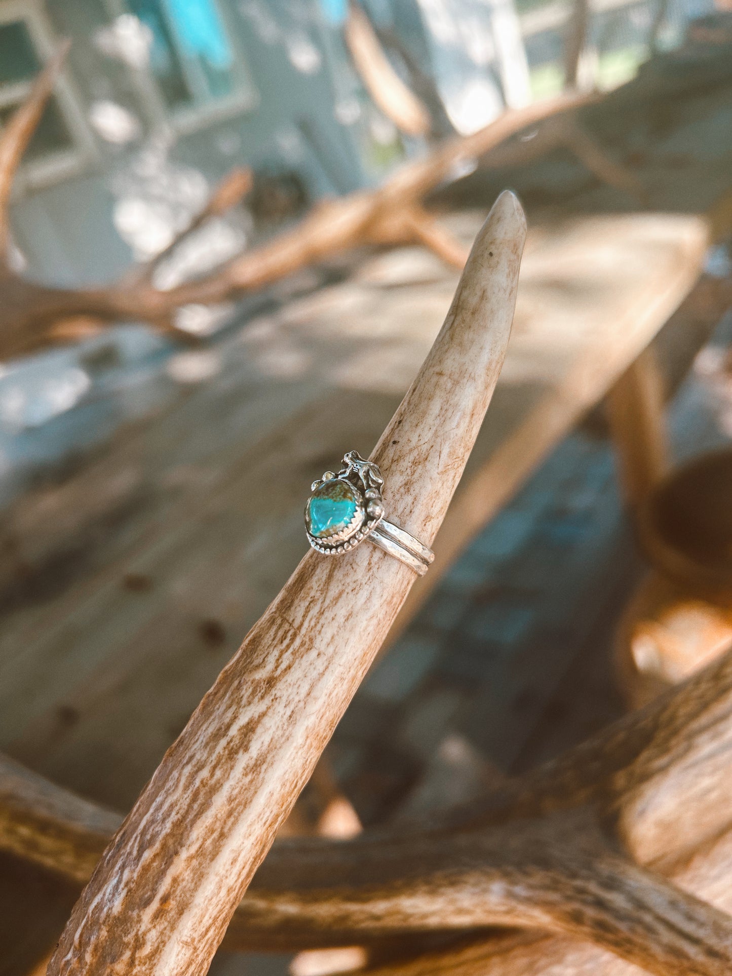Campitos Wolf Turquoise ring size 6