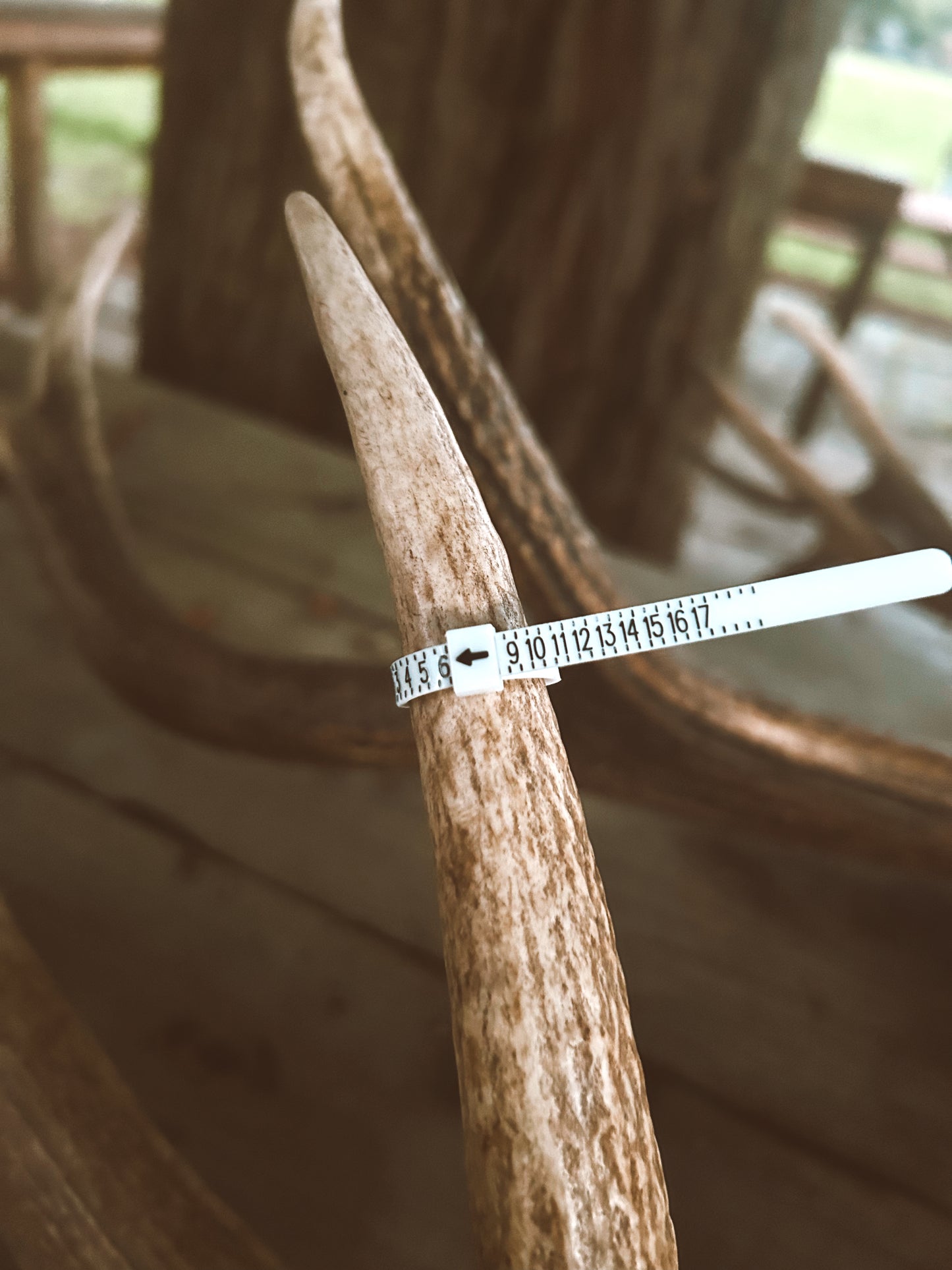 Ring Sizer