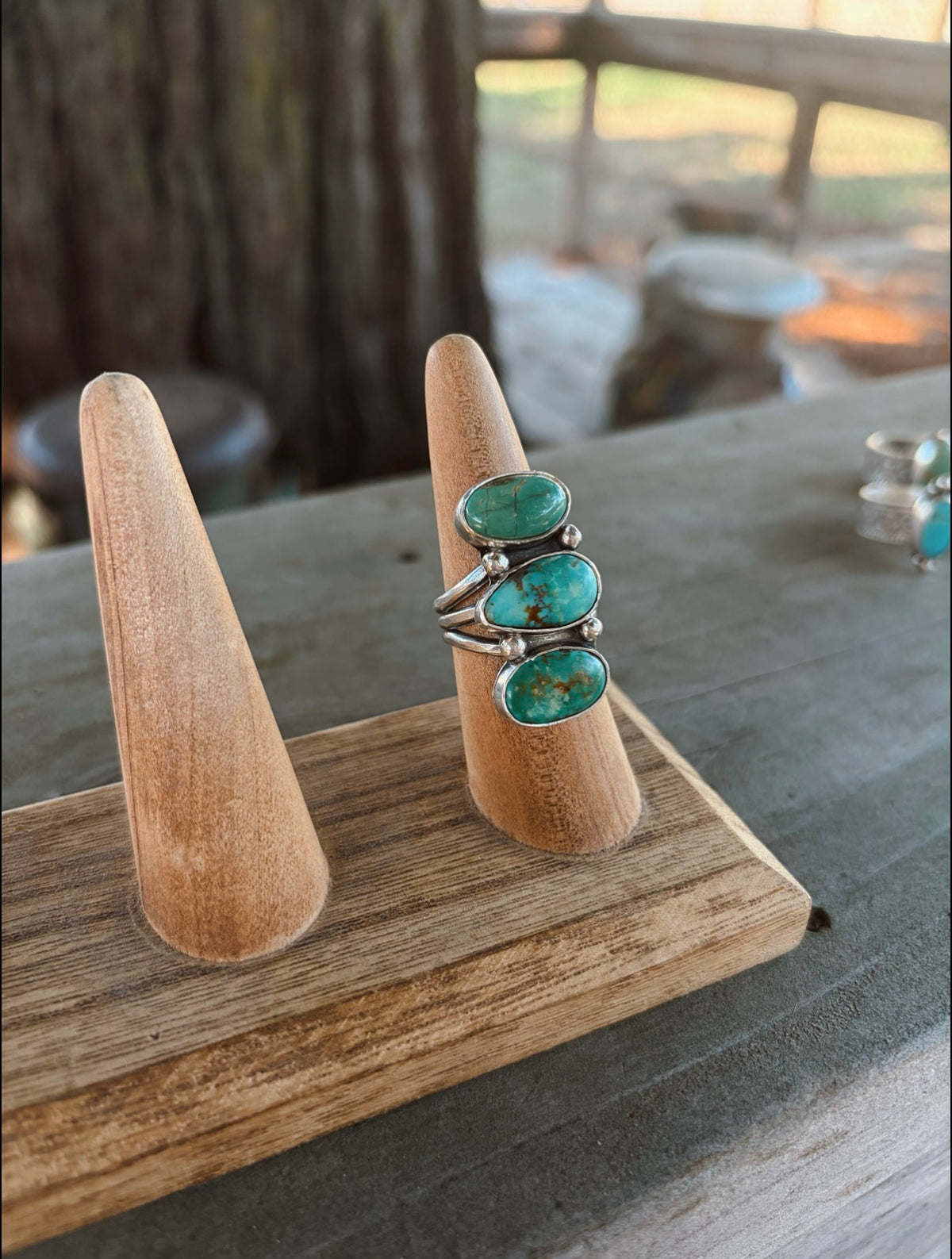 The Turquoise Desert Ring Size 9