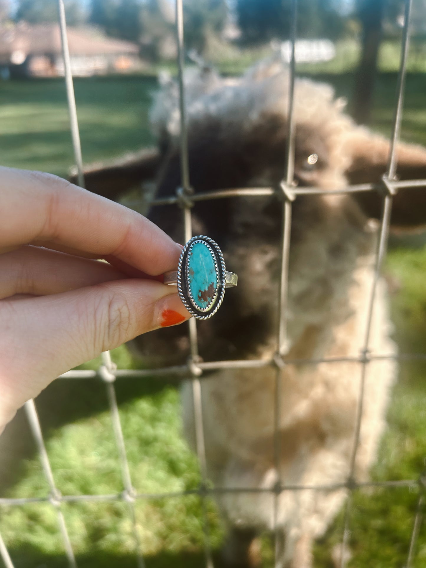 Royston Turquoise Ring Size 8 1/2